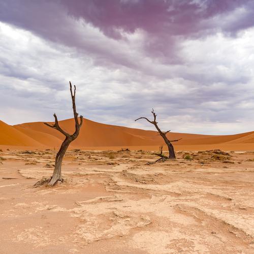 namibia