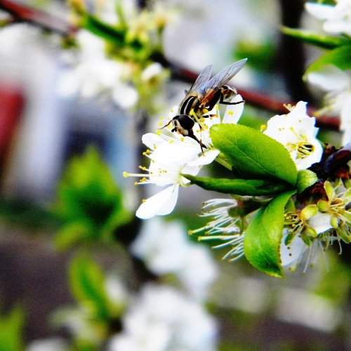 Photo #2047902
