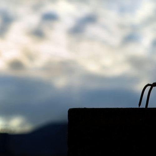 Вместе и навсегда...