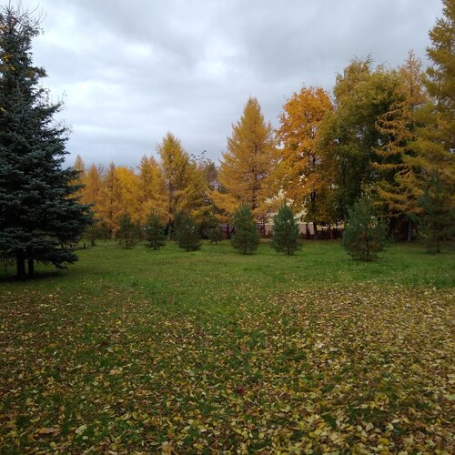 Осенний день