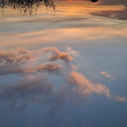 Photo #2048548