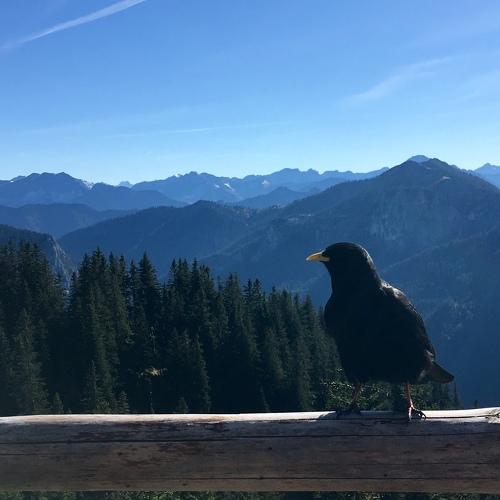 New Friend