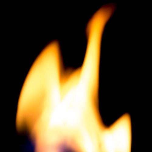 A rose that breathes dragon fire.