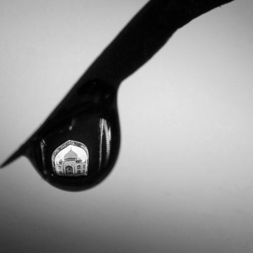 A drop of love
