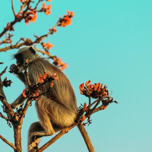 Photo #2051667