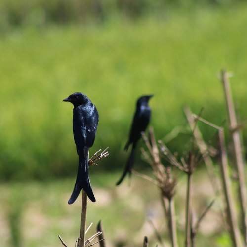 Wonderful nature.
