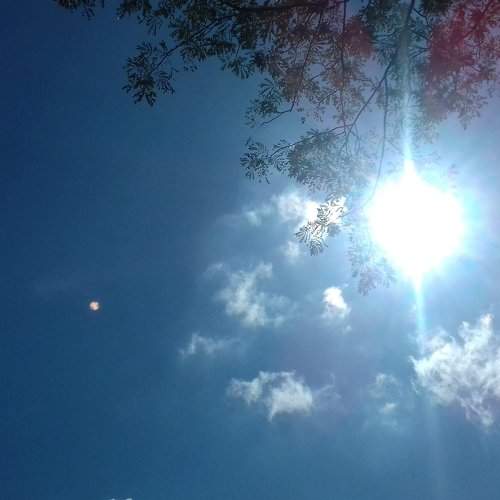 Sun in the sky