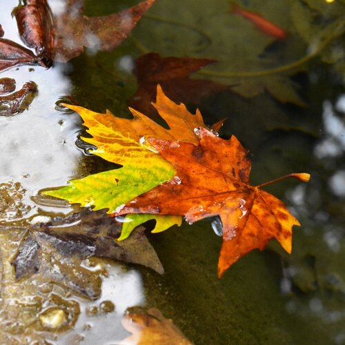 Photo #2053316