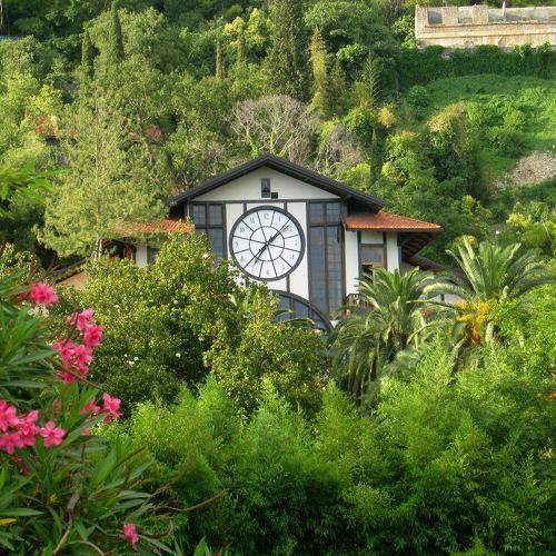 Photo #2053400