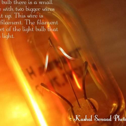 light bulb