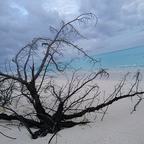Shores & beaches