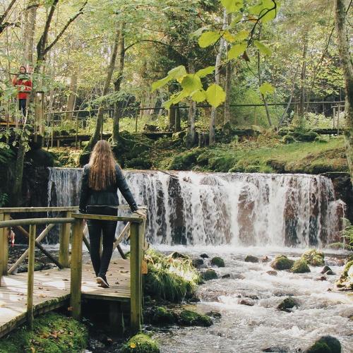 Photo #2054917