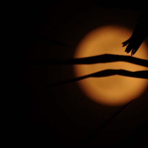 The moon