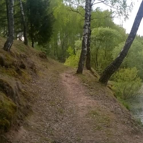 Природа Беларуси