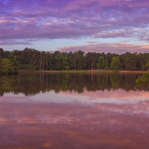 The Pink and Purple Sunrise