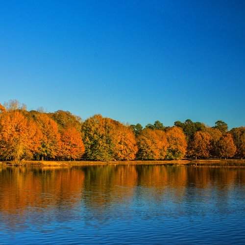 The Real Fall Season