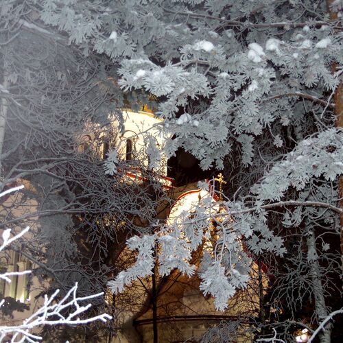 Photo #2055873