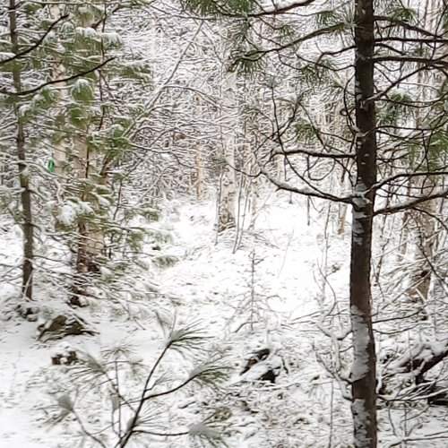 Photo #2056835
