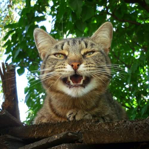 Smile!
