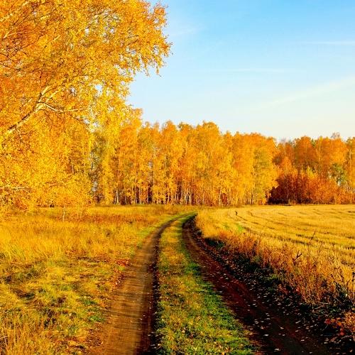Осенний пейзаж