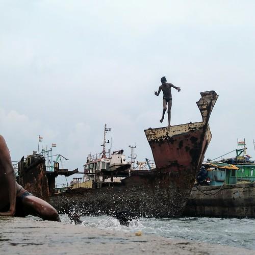 Photo #2059436