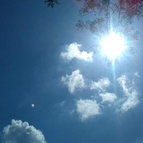 Sun in the sky