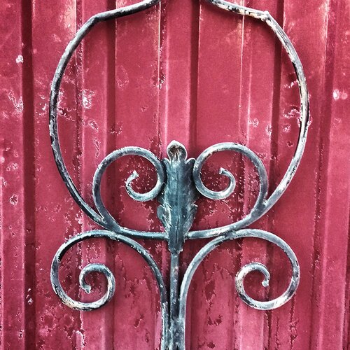 Photo #2060996