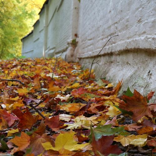 Photo #2061907