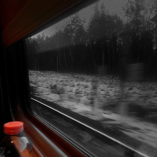 В дороге