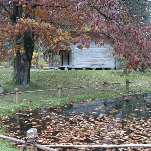Autumn in Latvia
