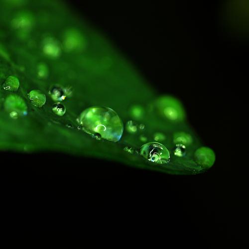 Photo #2063528