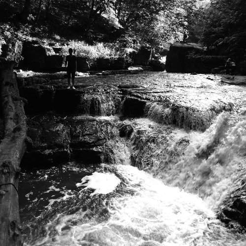 The water