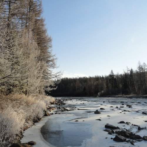 Photo #2065371