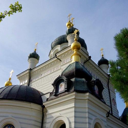 Photo #2065547