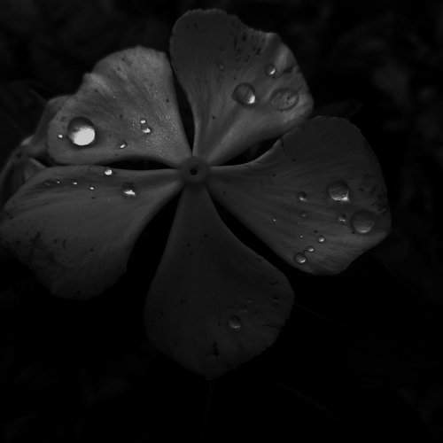 Droplets