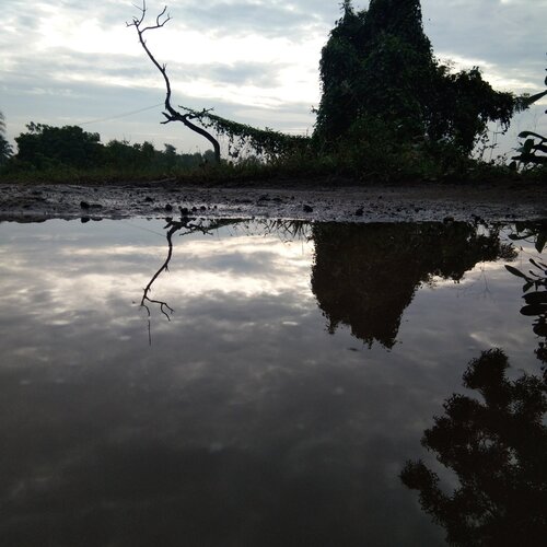 The Natural Reflection Of Photography