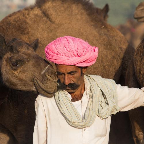 Pushkar Camel Fair