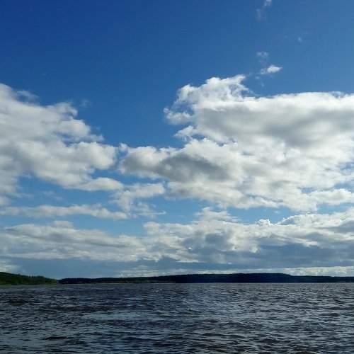 Photo #2068419