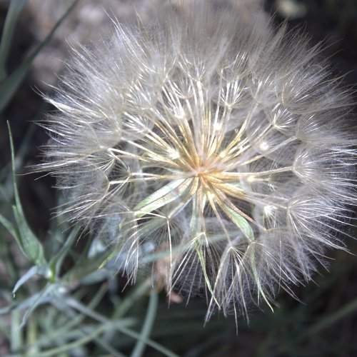 Photo #2068861