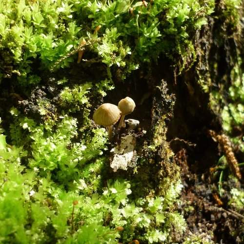 Photo #2070880