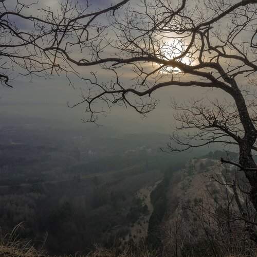 Photo #2070922