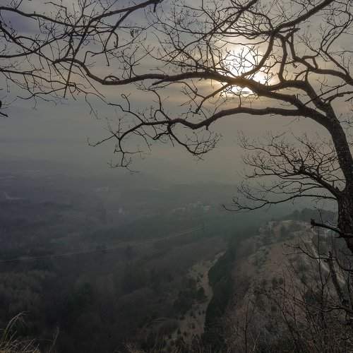 Photo #2070948