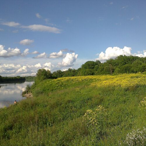 Берег реки Дон