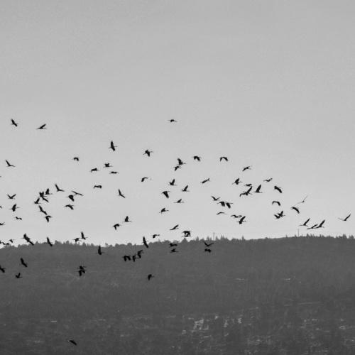 Photo #2071944