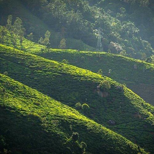 Ooty