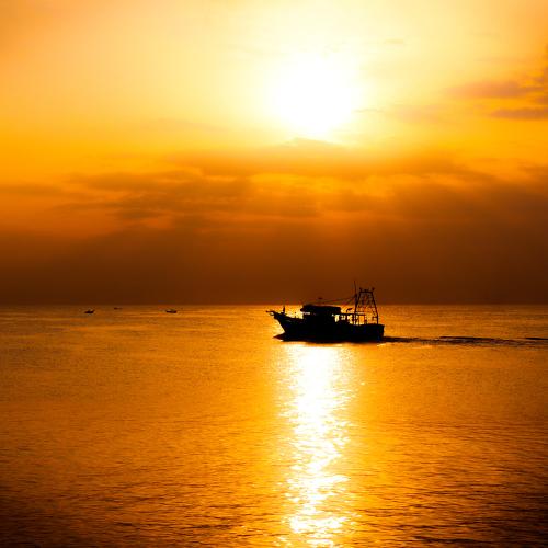 Sunrise Shot