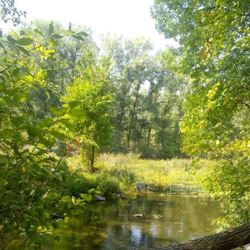 Photo #2075385
