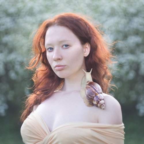 Photo #2078411