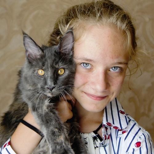 Подарок