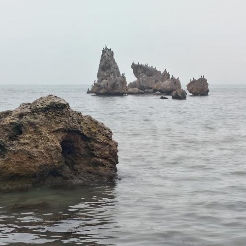 Утро